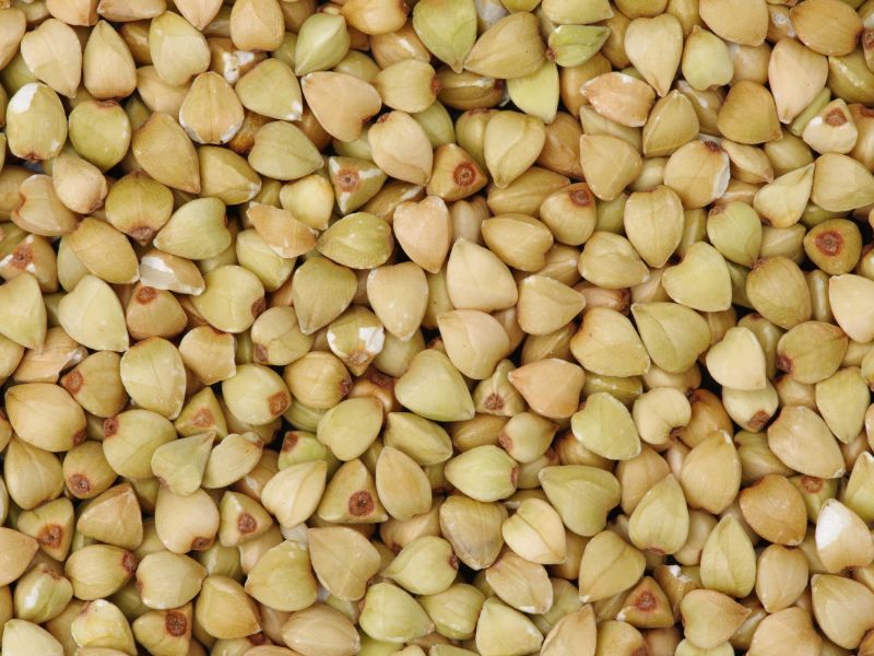Buckwheat groats up close