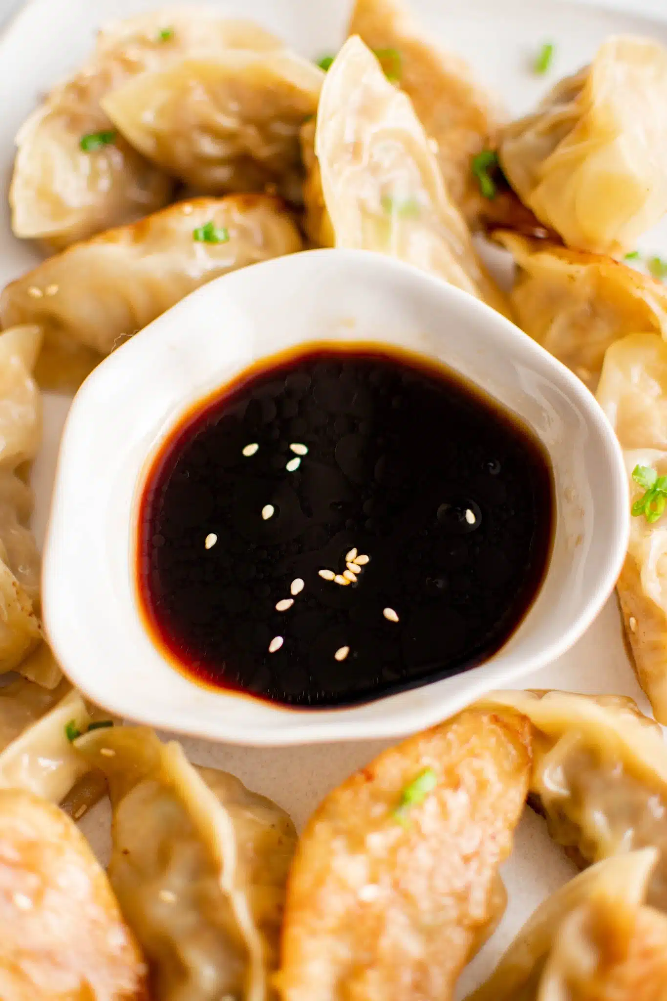 Small white ramekin filled with gyoza sauce surrounded by steamed and pan seared gyoza. 
